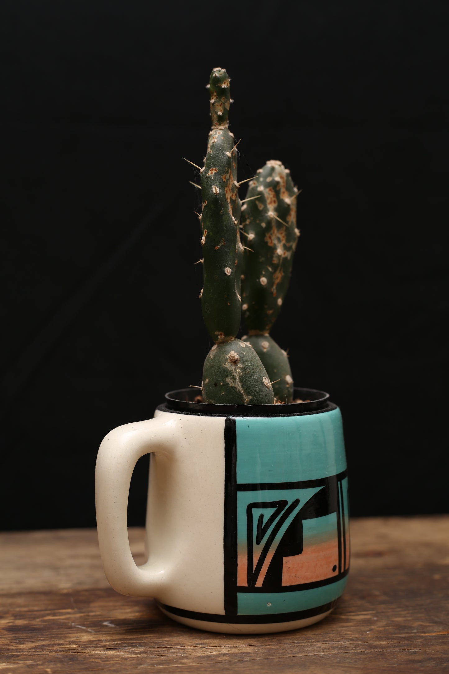 Ute Mountain Hand Painted Cup