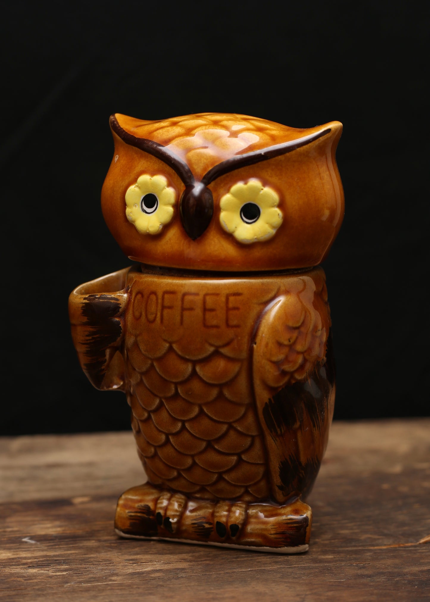 Owl Ceramic Coffe Container