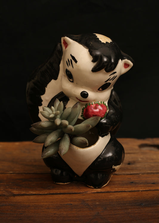 Ceramic Skunk Toothpick Holder